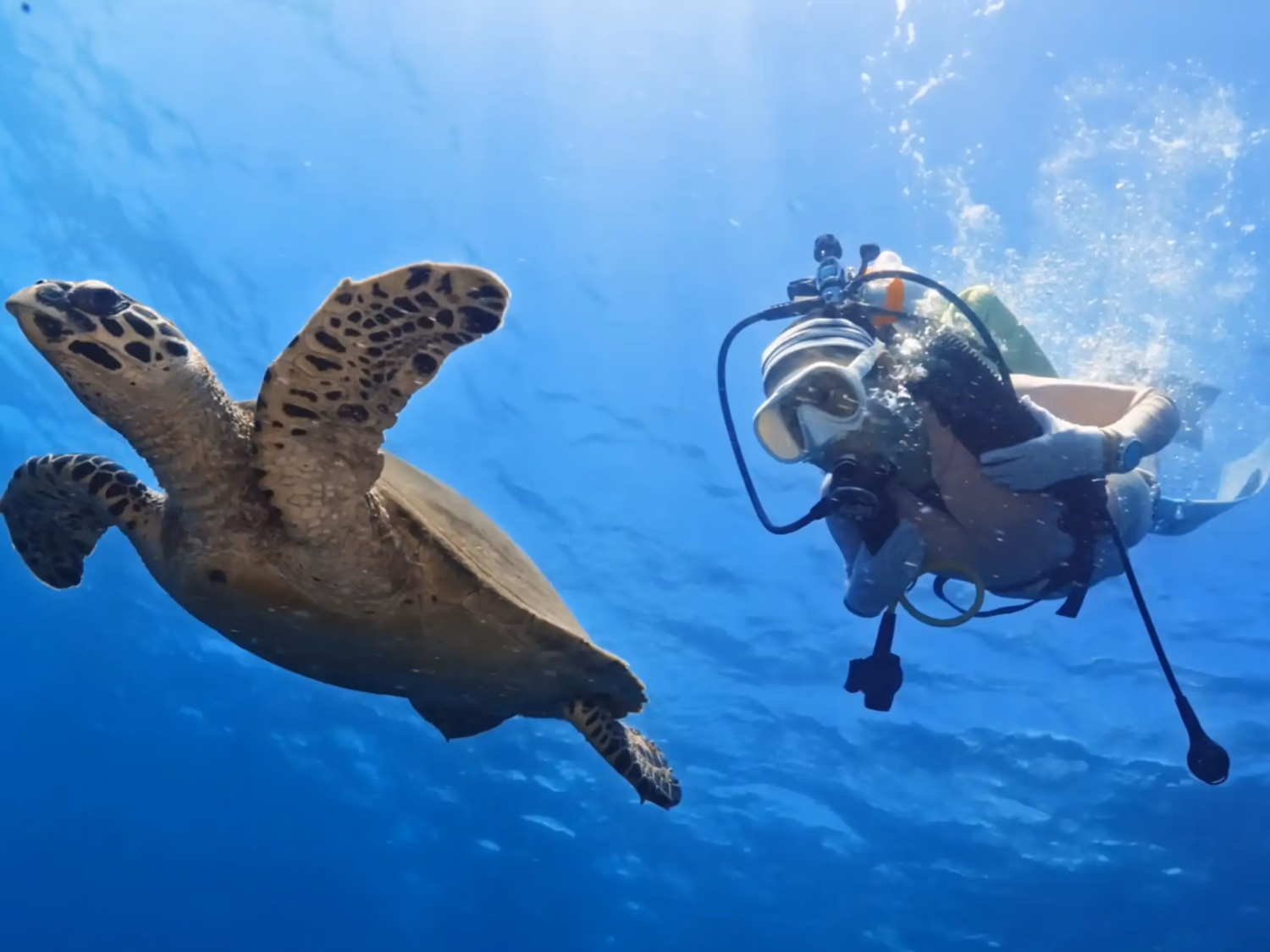 Try scuba diving and kayak day trip in Amed, Bali