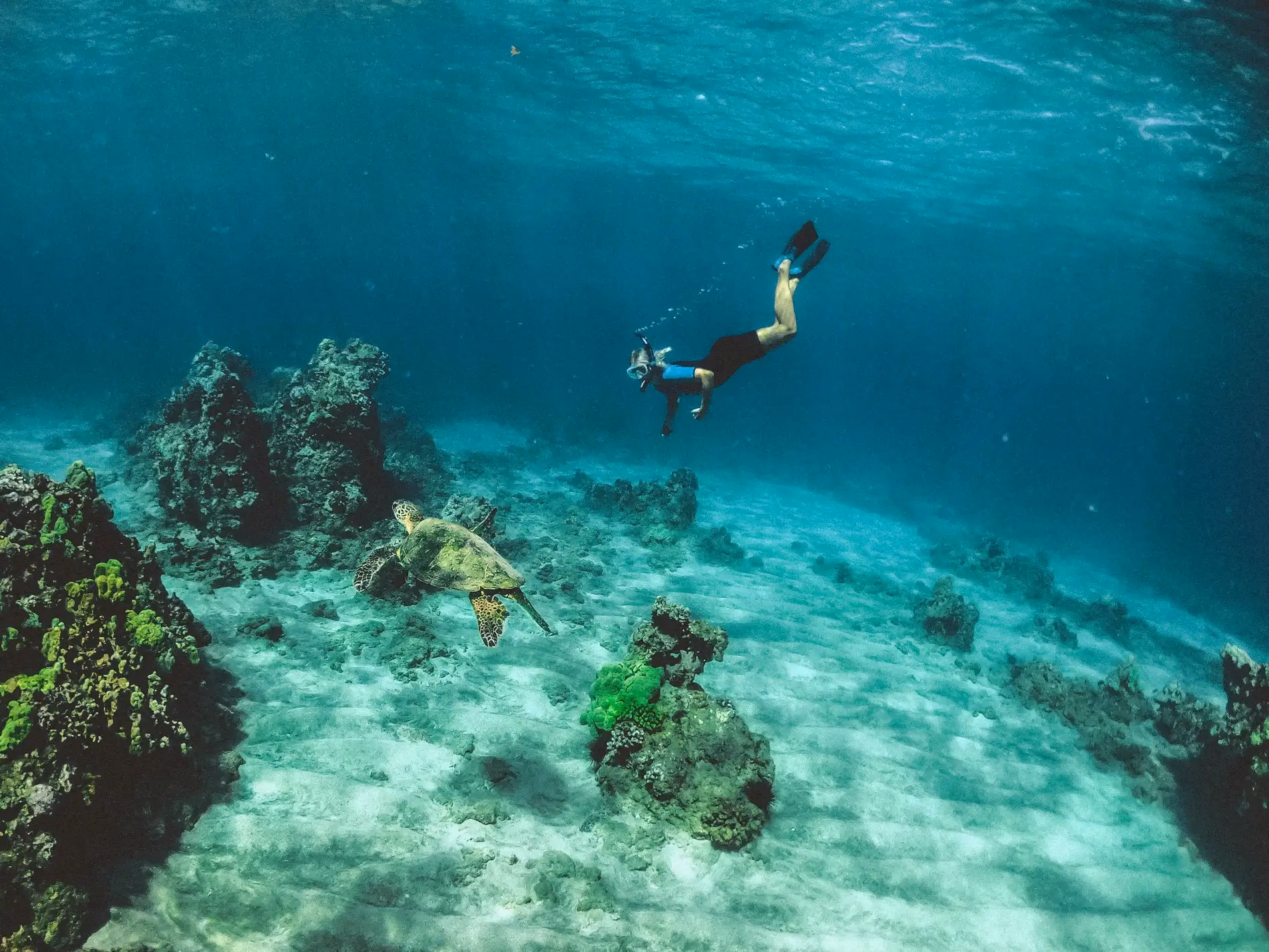 Where to Stay in Amed Bali: Solo Traveler's Guide 2026