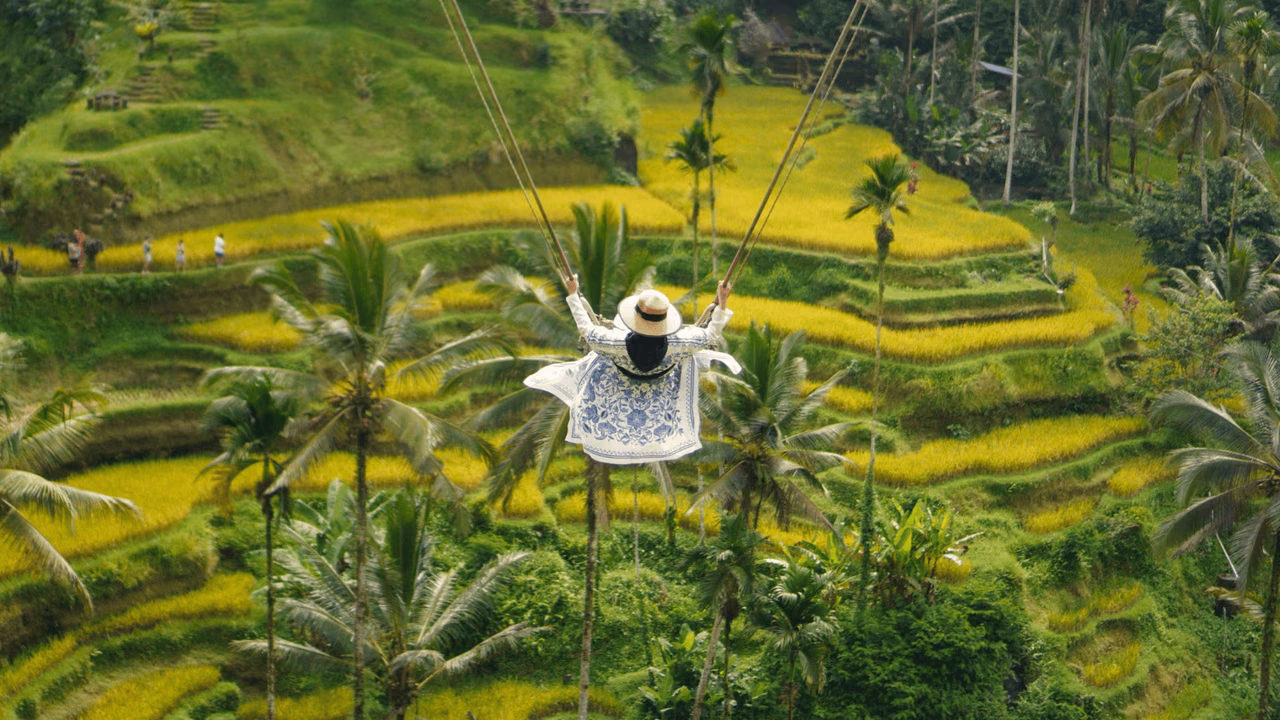 Traveler on a swing above green rice terraces and palms in Bali