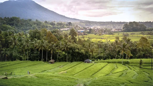 Ubud vs. Sidemen: Which Is Better for Solo Travelers in 2026?