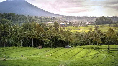 Ubud vs. Sidemen: Which Is Better for Solo Travelers in 2026?