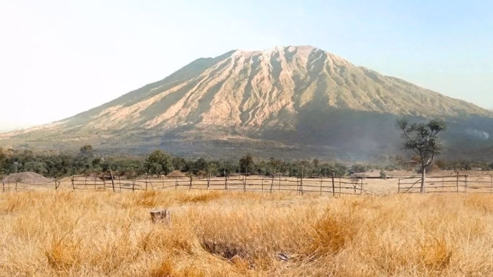 Dry grassland and a fence at Tianyar Savannah beneath Mount Agung