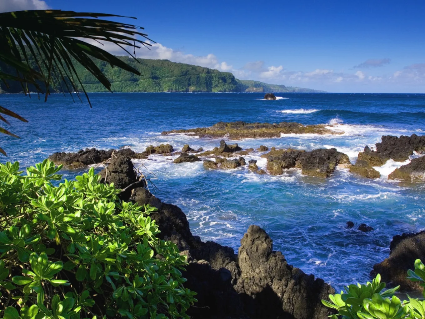 West Bali National Park: Untouched Wilderness Guide